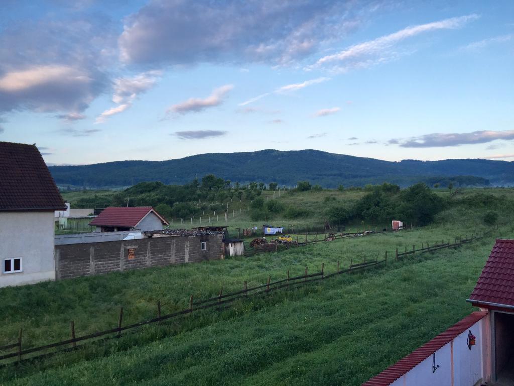 Vila La Izvor Petresti Zewnętrze zdjęcie