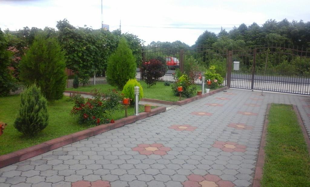 Vila La Izvor Petresti Zewnętrze zdjęcie