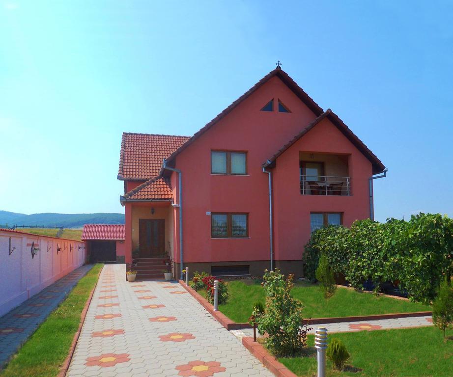 Vila La Izvor Petresti Zewnętrze zdjęcie
