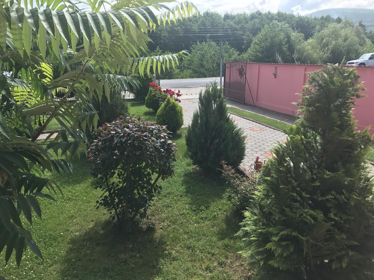 Vila La Izvor Petresti Zewnętrze zdjęcie