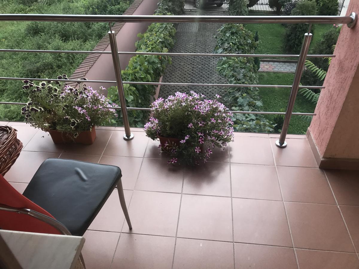 Vila La Izvor Petresti Zewnętrze zdjęcie